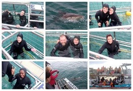 Daily Blog: 01 July 2025 | Shark Cage Diving in South Africa