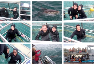 Daily Blog: 01 July 2025 | Shark Cage Diving in South Africa