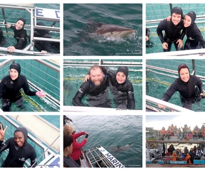 Daily Blog: 01 July 2025 | Shark Cage Diving in South Africa