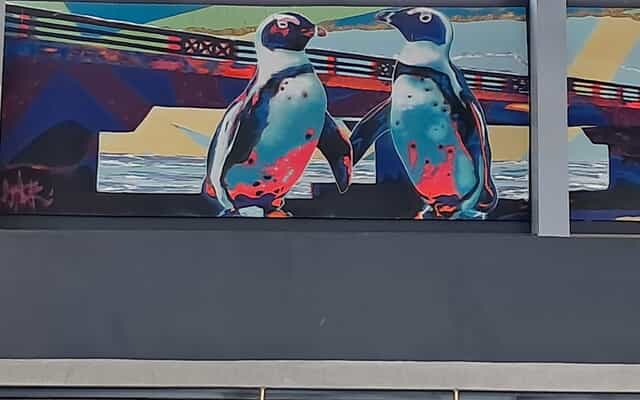 487546603_2496692040672437_6076329687210269201_n_1751533632