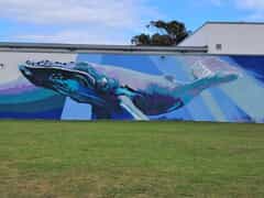 Help Us Make Gansbaai Even More Gorgeous!