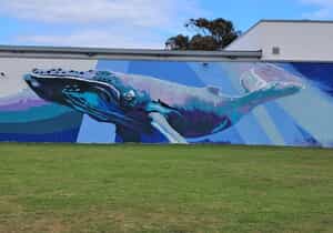 Help Us Make Gansbaai Even More Gorgeous!