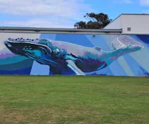 Help Us Make Gansbaai Even More Gorgeous!