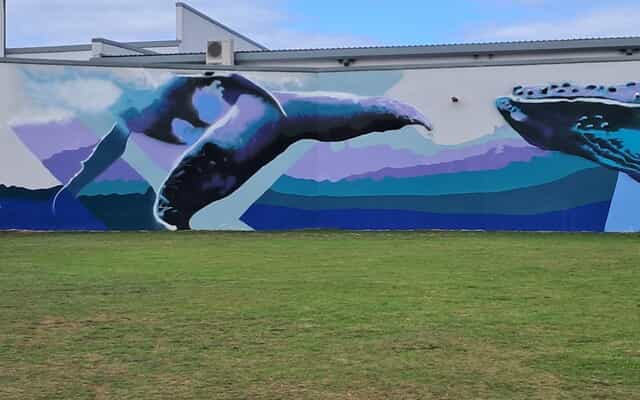 487779859_2496692007339107_7374006162397792914_n_1751533633