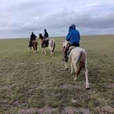 Horse Riding - African Horse Company - Xplorio™ Stanford