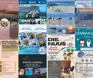 Winter in Gansbaai? Yes Please!