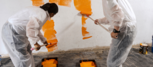 Best Indoor Paints from Build it Gansbaai