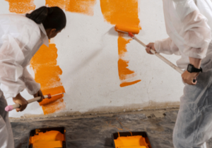 Best Indoor Paints from Build it Gansbaai