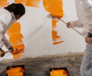 Best Indoor Paints from Build it Gansbaai