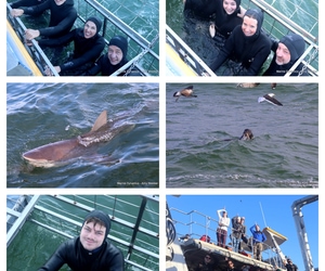 Daily Blog: 07 July 2025 | Shark Cage Diving in South Africa