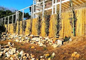 Fence Poles in Hermanus