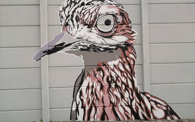 516467058_2587577784917195_4326228966385834899_n_1752043085