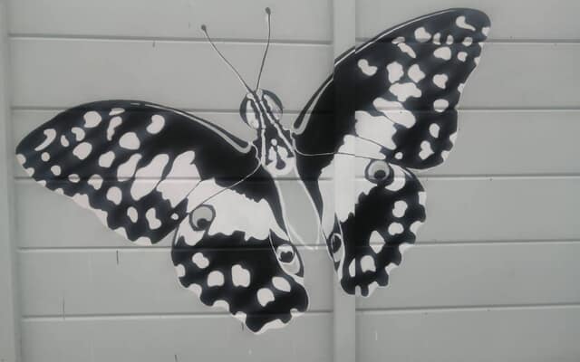 516639320_2587577878250519_2049889828103663082_n_1752043085