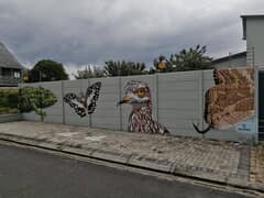 New Gansbaai Mural at 44 De Villiers Street by BJ