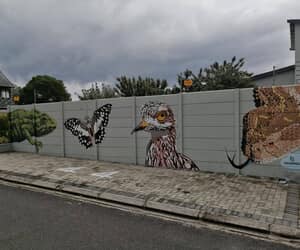 New Gansbaai Mural at 44 De Villiers Street by BJ