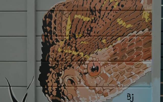 517320151_2587577931583847_340485134519801132_n_1752043086