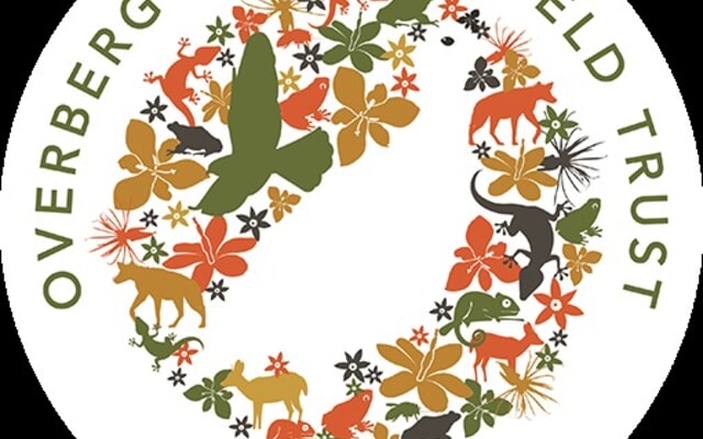 LOGO_1752129701 LOGO_1752129701