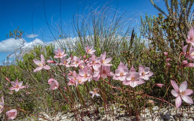 Untitled_attachment_00059_1752129702 Untitled_attachment_00059_1752129702