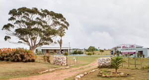 A Win for Renosterveld