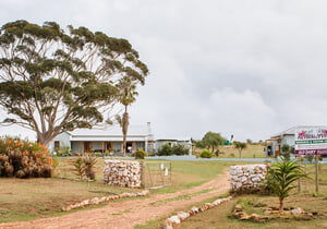 A Win for Renosterveld