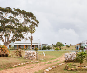 A Win for Renosterveld