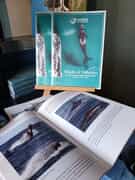 Whales & Dolphins of the Greater Dyer Island Area