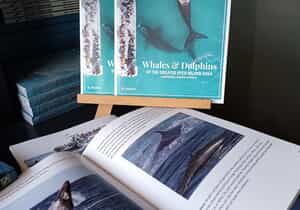 Whales & Dolphins of the Greater Dyer Island Area