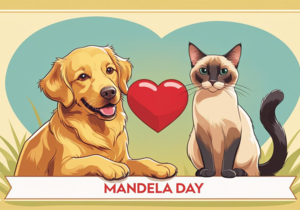 Celebrate Mandela Day with BARC Gansbaai