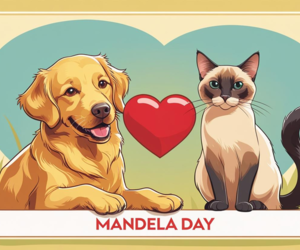 Celebrate Mandela Day with BARC Gansbaai