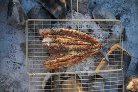 Gansbaai: One of South Africa’s Best Seaside Towns for Seafood