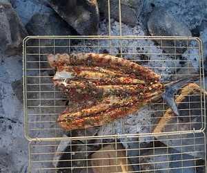 Gansbaai: One of South Africa’s Best Seaside Towns for Seafood