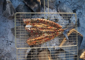 Gansbaai Featured as a Top Seafood Destination