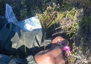 Discovering Ant Species at Grootbos