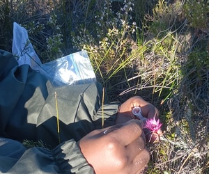 Discovering Ant Species at Grootbos