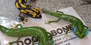 WhatsApp_Image_2025_07_15_at_13.36.24_1_1752579896