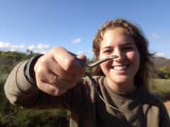 Jeanne Meets the Skaapsteker