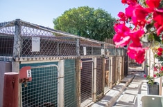 IMG_2619_1__1752738547