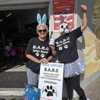 BARC Animal Welfare - Xplorio™ Gansbaai