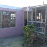 BARC Animal Welfare - Xplorio™ Gansbaai