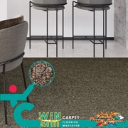 Timeless High-Low Carpet, Soft, Stylish and Stain Safe