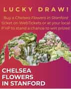 Win Big with Grootbos Foundation!