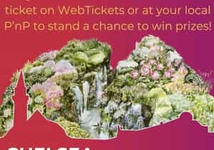 Win Big with Grootbos Foundation!