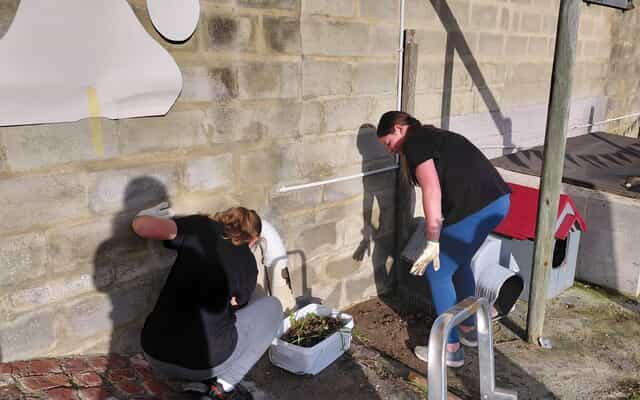 WhatsApp_Image_2025_07_22_at_11.03.26_1753185776 WhatsApp_Image_2025_07_22_at_11.03.26_1753185776