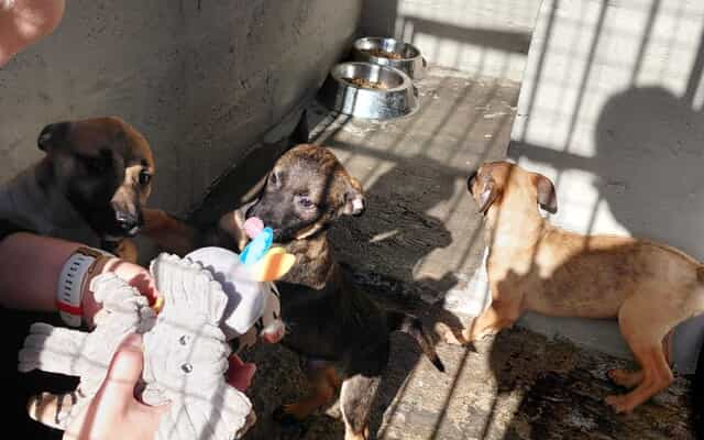 WhatsApp_Image_2025_07_22_at_11.03.39_1753185784 WhatsApp_Image_2025_07_22_at_11.03.39_1753185784