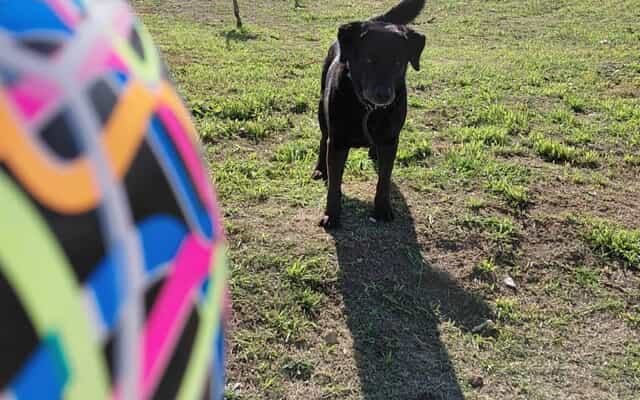 WhatsApp_Image_2025_07_22_at_11.03.48_1753185785 WhatsApp_Image_2025_07_22_at_11.03.48_1753185785