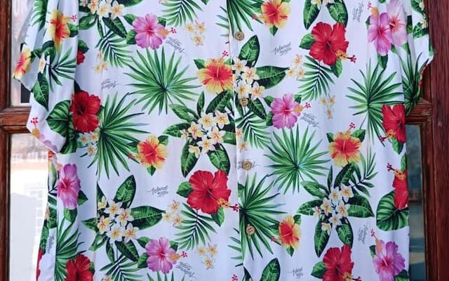 523530503_1297923132333904_1519560206071205092_n_1753263498