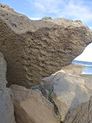 Can You Spot the Tracks?