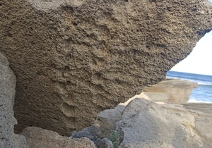 Can You Spot the Tracks?