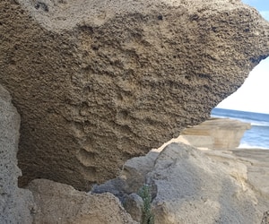 Can You Spot the Tracks?