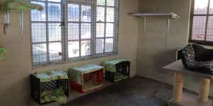 WhatsApp_Image_2025_07_08_at_20.15.44_648346b8_3_1753339833